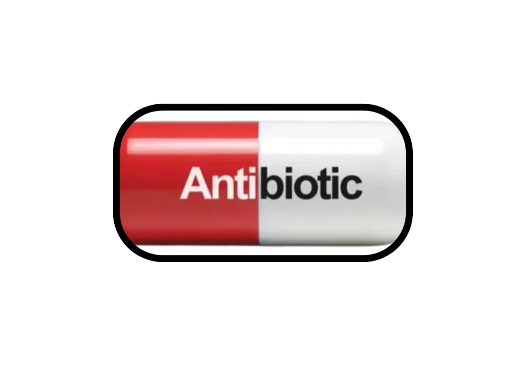 antibiotics prevent bacterial infection