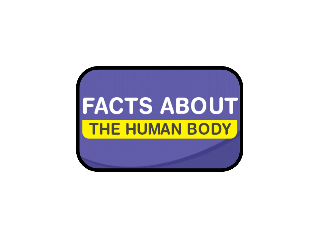 facts related to the human body